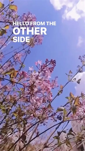 1.8K views · 21 reactions | Spring, is that you? 類 Hello from the...