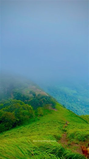 🌿 Hidden Beauty of Hulangala | Sri Lanka’s Misty Mountain View #travel #nature #1million #shorts