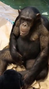 6.7K views · 689 reactions | After years in medical research,...