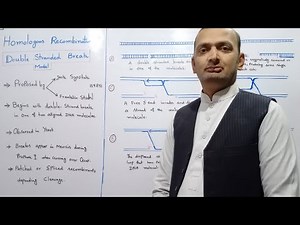 Double Stranded Break Model of Homologous Recombination.(Technique to cut both DNA strands)