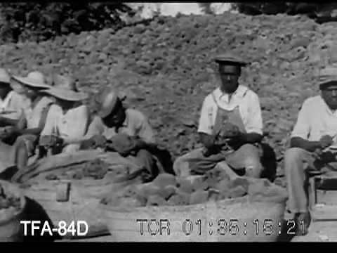 Nassau In The Bahamas, 1950s