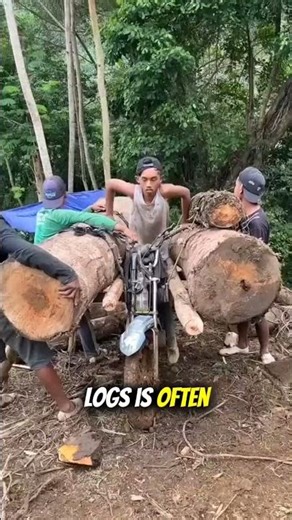 Most Dangerous Job? Hauling Giant Logs on a Bike! 😱#shorts
