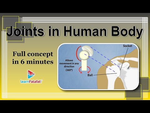 Class 6 Science Body Movements - Joints in Human Body - LearnFatafat
