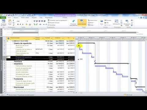 MS PROJECT 2010-2013-2016: MILESTONES IN A PROJECT (79)