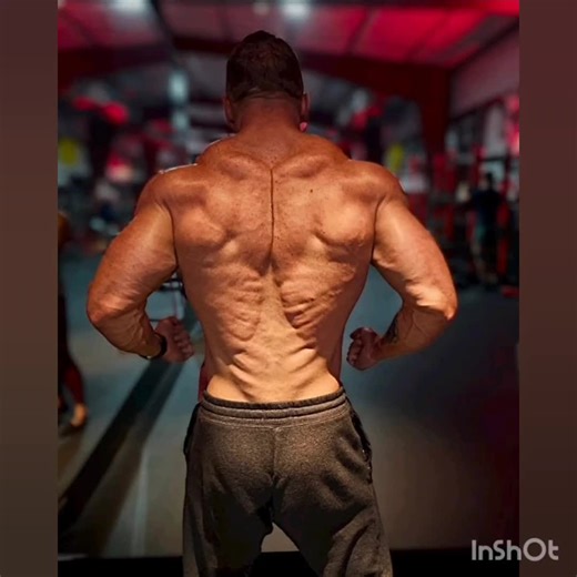 6 years of competition experience and winning experience!! Iron Apex Training. Meal plans, bulking and cutting competition Prep Exercise Programs In person Training #gymmotivation #gymlife #gymrat # gymintensity