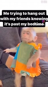 I’m tired . . . | The Kelly Williams TV Show