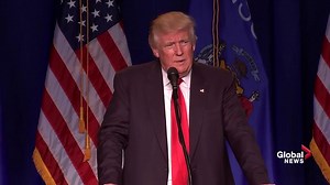 ‘[Hillary Clinton’s] bodyguards and Secret Service should immediately give up their weapons’: Donald Trump