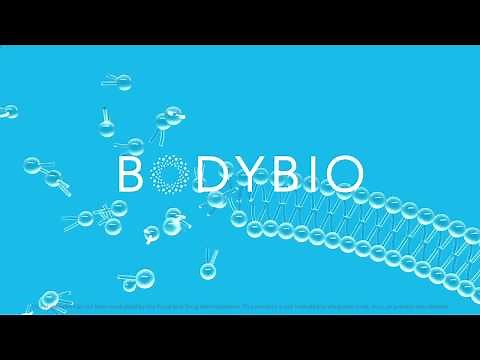 What is Phosphatidylcholine (PC)?