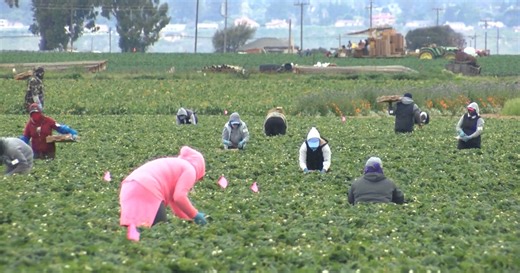 Farmworkers push for $26 an hour wage in Santa Barbara County