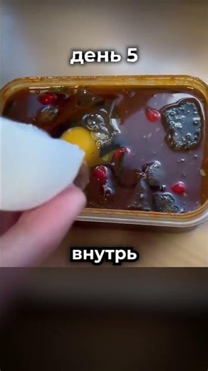 He tried to create life for 400 days 😨