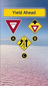 5 Essential Tips to ACE Your DMV Driving Test in 2025 #quiz #trivia #dmvwrittentest