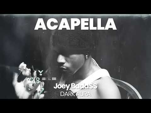 ACAPELLA BEAT : DARK AURA - Joey Bada$$ (BPM 77, key C minor )