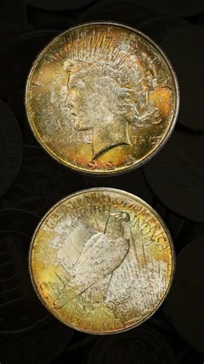 Got a 1925 S Silver Dollar Value? It Could Be Worth $132,000!