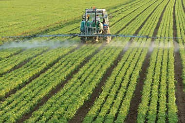Evolução da agricultura e suas técnicas - Brasil Escola