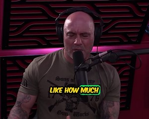 Prepare to be shocked as Joe Rogan discusses real chimp attack stories. 😱 #JoeRogan #ChimpAttacks #AnimalFacts #WildAnimals #JRE | The Sigma