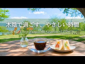 Relaxing Piano & Guitar Music 🌿 Peaceful Morning Cafe Beneath the Green Canopy