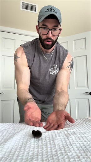 Testing Button Quail for Healthy Movement