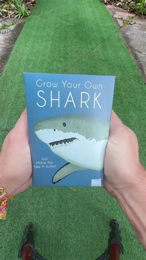 Hatching a Shark! 🦈 | shark egg hatching