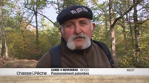 Au cœur du Gers, découvrez l'art de la chasse aux palombes où pigeons domestiques et stratégie se mêlent pour attirer les oiseaux migrateurs 🔥 ➡️ Demain dès 18h sur la chaîne #inédit | Chasse & Pêche