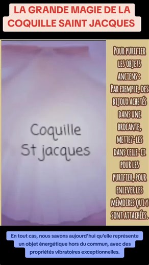 dr hannibal sur TikTok