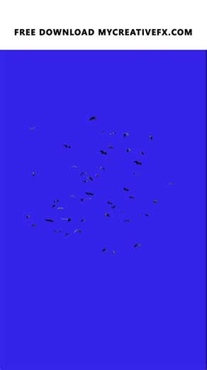 Bat Colony Swarming #vfx #shots