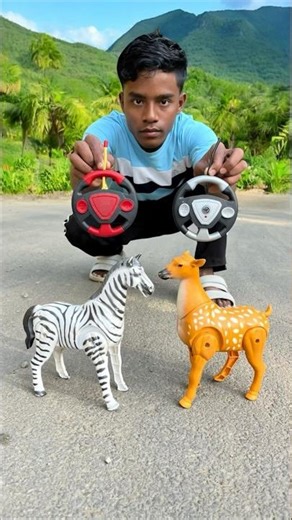 Dui Ta Remote Control Zebra And Deer Unboxing Dko 😮