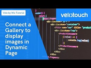 Velo by Wix Tutorial | How To Add a Gallery and Connect to a Database
