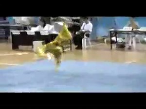 chinese wushu masters