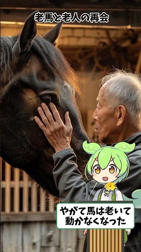 チャグチャグ馬コ ― 鈴の音がつなぐ人と馬の物語