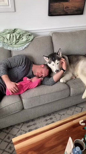 Alyssa Berry (@alyssaberryxx)’s videos with original sound - kalharmon_