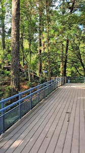 📍🇸🇻🤠 Parque Nacional el Boquerón así de bello luce ahora 😎🌱🌿💚🍀 Pipo Sv. #elsalvador #turismo #piposv #sigueme #viralreelsfacebook #viralvideochallenge #virals | Pipo Sv.