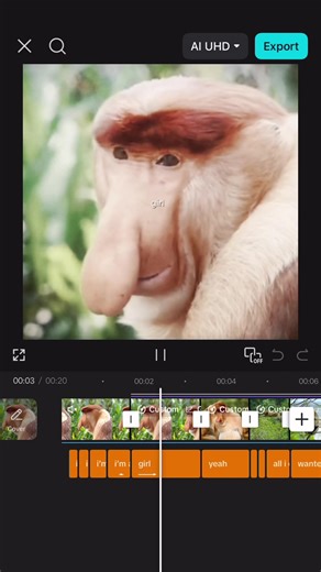 Conoce a los monos proboscis: curiosidades y hechos