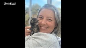 9.2K views · 51 reactions | Last week, we met two of the four kittens rescued from an owl nesting box in a Guernsey garden. Now, ITV Channel's Jess Dunsdon and Jonathan Wills react to the pair thankfully finding their 'fur-ever' homes... | ITV Channel TV | Facebook