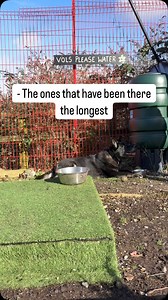 🐾Its always lovely when a dog gets adopted but its even better when a dog that has waited a long time finally finds their forever homes. 🐶Cardiff Dogs Home continue to receive around 40 requests per week to take in dogs from people facing difficult personal circumstances and this financial year, they’ve welcomed 430 dogs in need of safe havens while they wait for their forever homes! Cardiff Dogs Home is the perfect place to find your new doggy companion! To find out more visit their website t