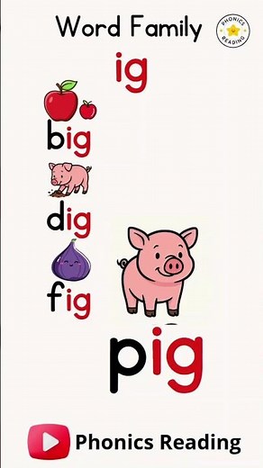 Word Family ig Words Reading Practice with Phonics CVC Words #shorts