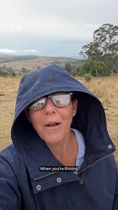 ⚠️⚠️⚠️Telling the stories of rural and regional Australia can be a pretty hazardous job. ⚠️⚠️⚠️ Luckily, no reporters or cameramen were harmed filming this video. ⚠ 📺 Watch Landline Sundays at 12:30pm on ABCTV or on iview. #ABCLandline #ABCKeepItRural | ABC Landline