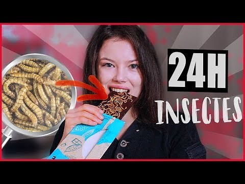 I EAT ONLY INSECTS FOR 24 HOURS - Claire