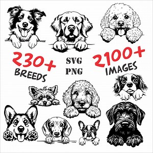 Peeking Dogs SVG Bundle File, Over 230 Breeds, Multiple Poses, Designed for Cricut/laser, High Res PNG, Commercial Use, Lifetime Access - Etsy