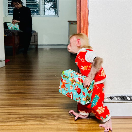 18K views · 1.4K reactions | BiBi steals Christmas presents when Dad is not around | Family BiBi | Facebook