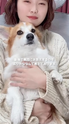 遅めの新年のご挨拶🌅 #コーギー #今年もよろしくお願いします #corgilife