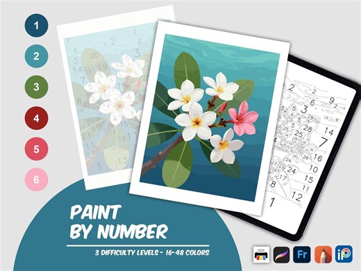Plumeria Flower Color by Number Printable, Paint by Number Digital Download, Tropical Garden Coloring Page, Relaxing Activity - Etsy