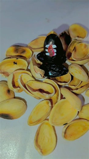 dry fruits craft ideas colour art #omnamahshivaya @papercraftsall @TheJayJagannathOfficial