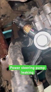 Power steering pump leaking #automobile #mechanic