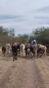 Asi se divierte la gente de la sierra 😍🥰 #chihuahua #paisajes #fblifestyle #Sierra #sierradechihuahua | Sierra de Chihuahua y Lugares de Mexico