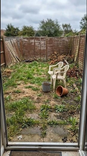 Suburban Backyard rennovation