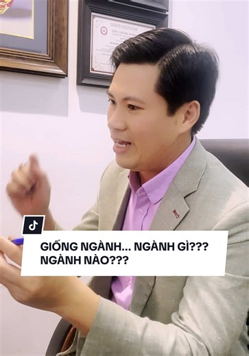 Mentor Boost: Đánh giá và lựa chọn kích thước