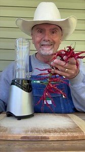 Making Cayenne Powder From Hung Dried Peppers #garden #gardening #gardentips #homestead #homesteading #homesteadlife #farm #farming #farmlife #foodie #farmtotable #permaculture #vegetables #cayennepepper | PawPaw Ridge Homestead