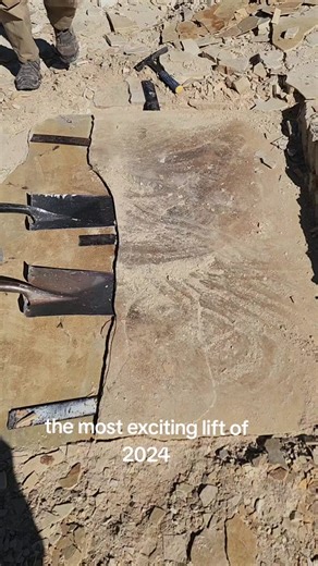 Fossil Hunting Adventures in Wyoming: Discover Unique Finds