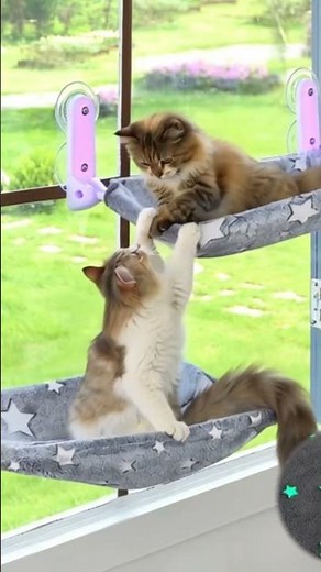 Glow in The Dark Cat Window Perch, Large Foldable Hammock Bed | Cat Bed