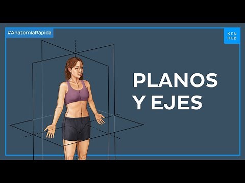 Planos y ejes corporales - Anatomía Fácil | Kenhub